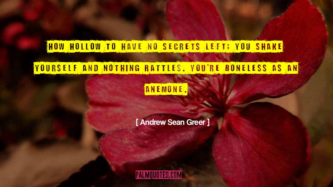 Andrew Sean Greer quotes by Andrew Sean Greer