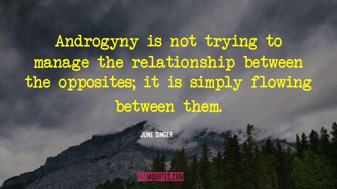Androgyny quotes by June Singer