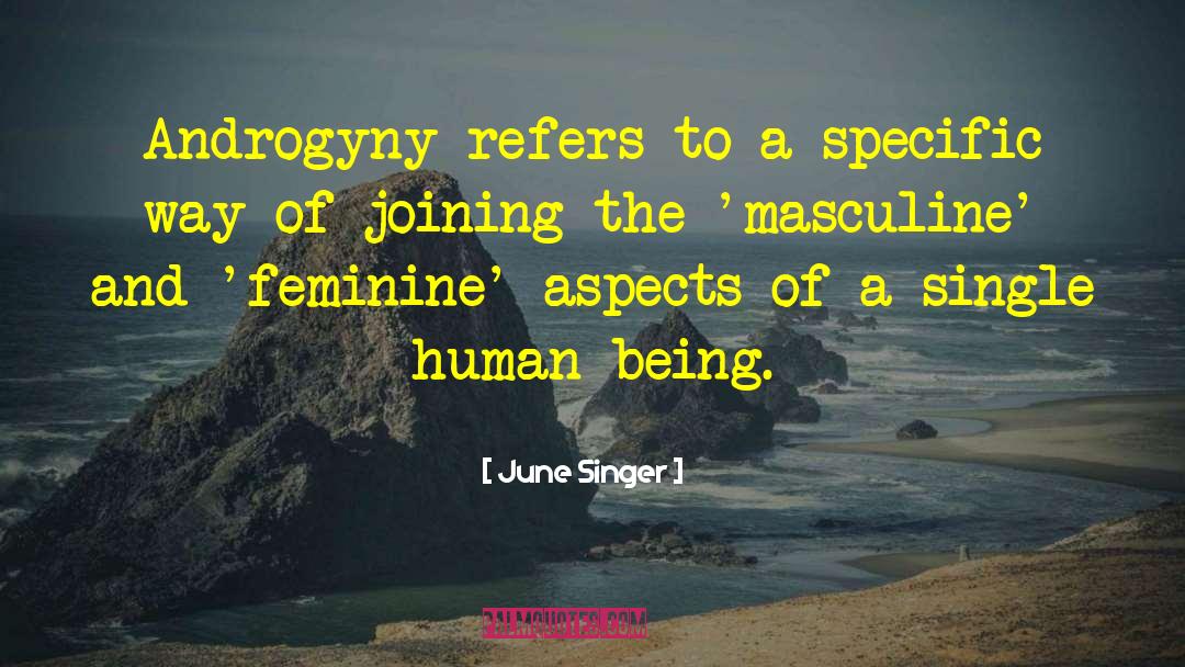 Androgyny quotes by June Singer