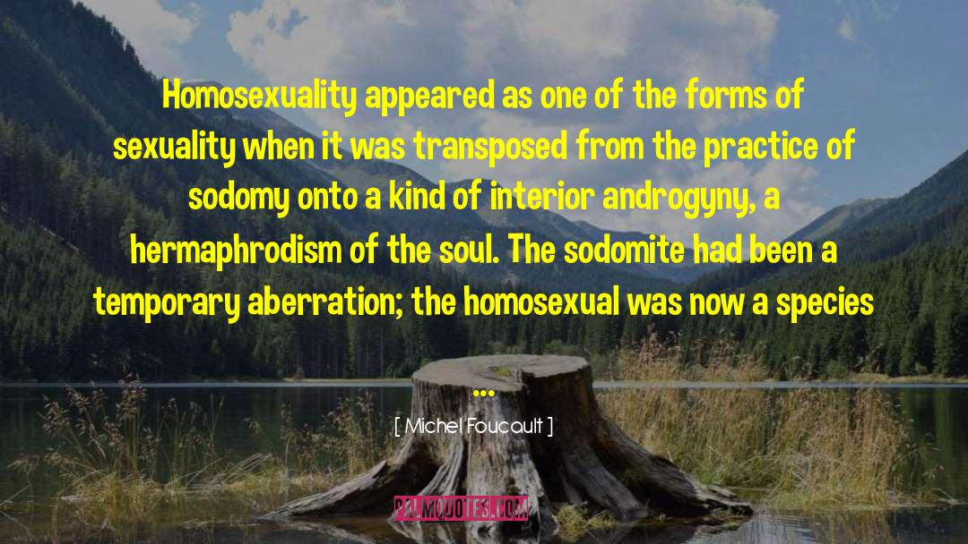 Androgyny quotes by Michel Foucault