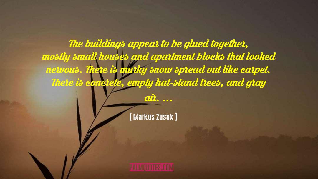 Androulakis Apartments quotes by Markus Zusak