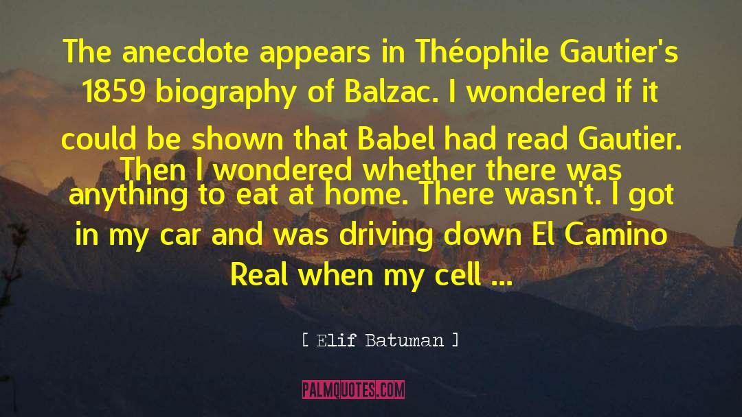 Anecdote quotes by Elif Batuman