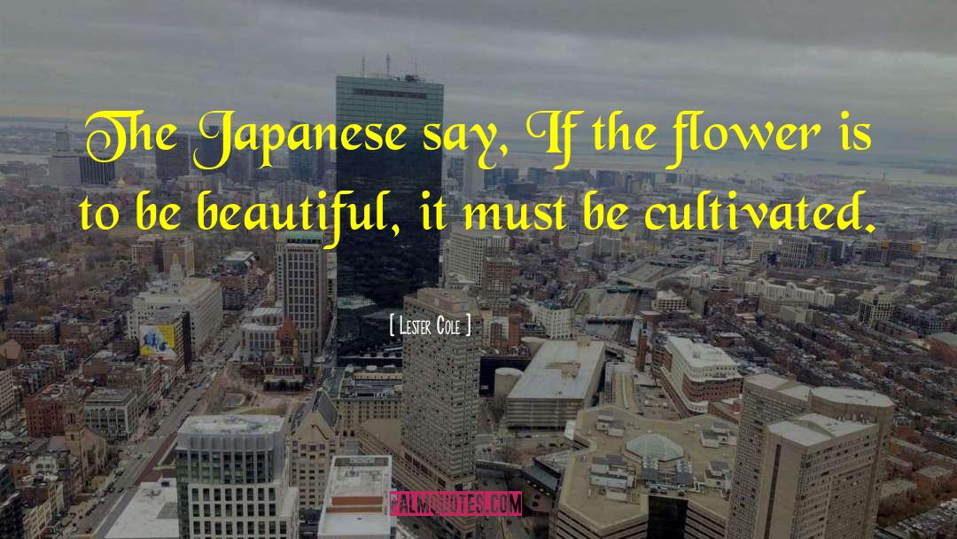 Aneka Japanese quotes by Lester Cole