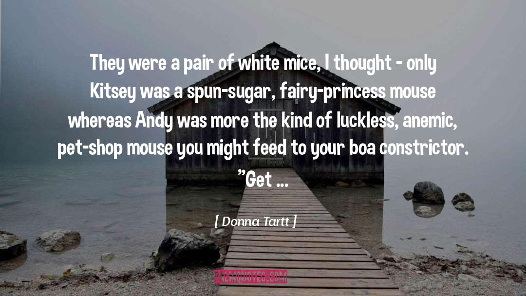 Anemic quotes by Donna Tartt
