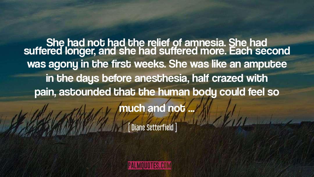 Anesthesia quotes by Diane Setterfield