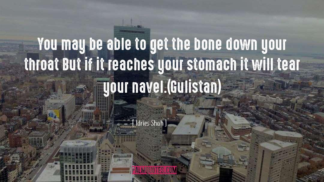 Aneurysmal Bone quotes by Idries Shah