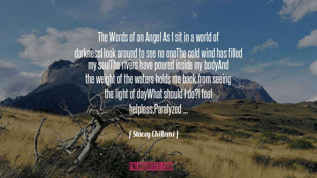 Angel In Disguise quotes by Stacey Chillemi