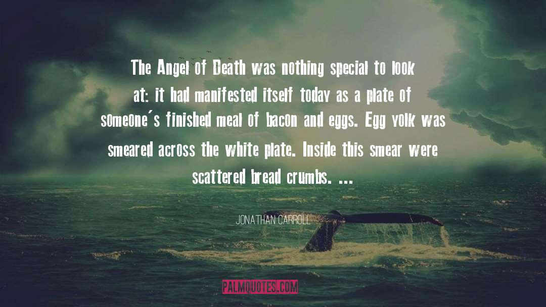 Angel Of Death quotes by Jonathan Carroll