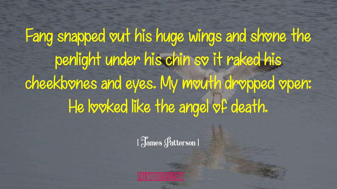 Angel Of Death quotes by James Patterson