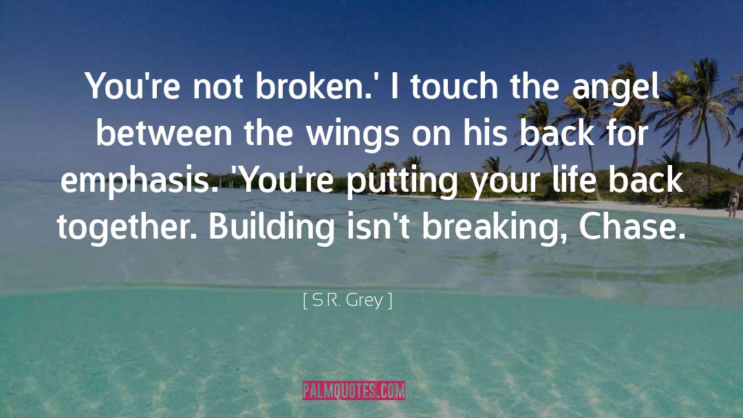 Angel S Blood quotes by S.R. Grey