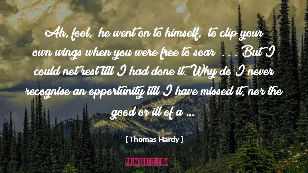 Angel Wings quotes by Thomas Hardy