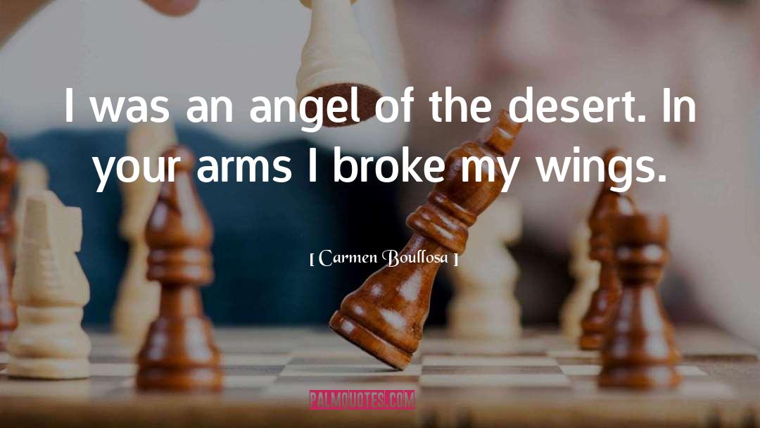 Angel Wings quotes by Carmen Boullosa