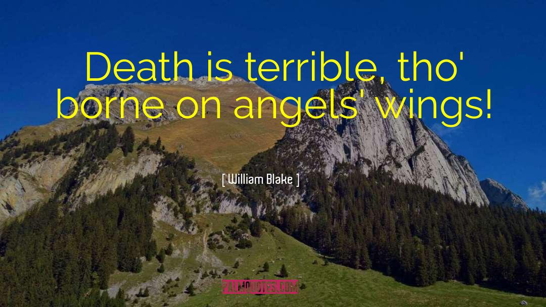 Angel Wings quotes by William Blake