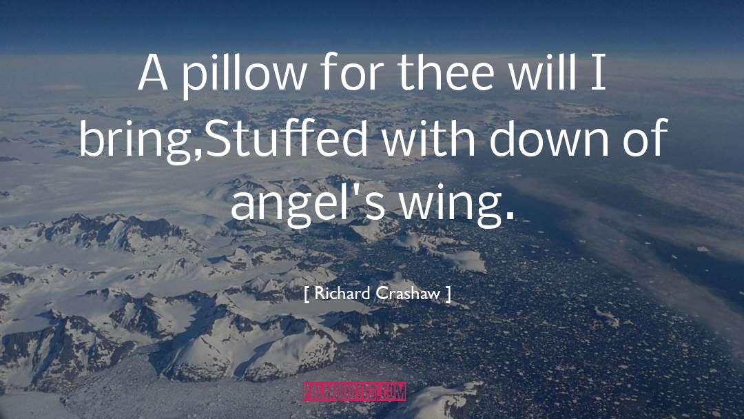 Angel Wings quotes by Richard Crashaw