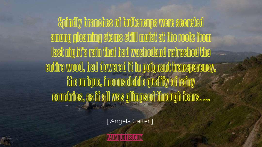 Angela Carter quotes by Angela Carter