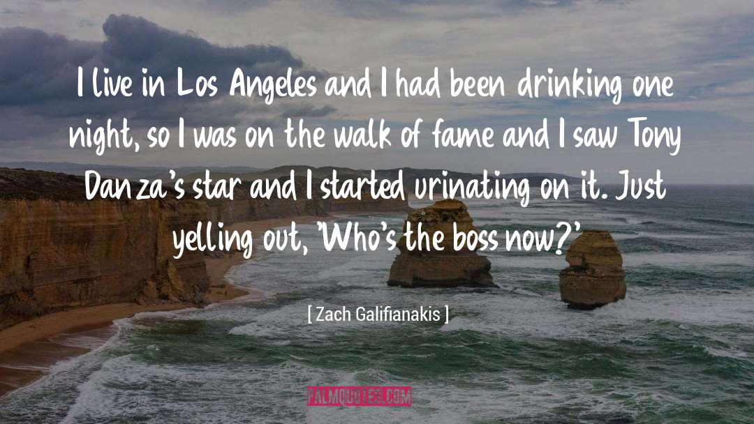 Angeles quotes by Zach Galifianakis