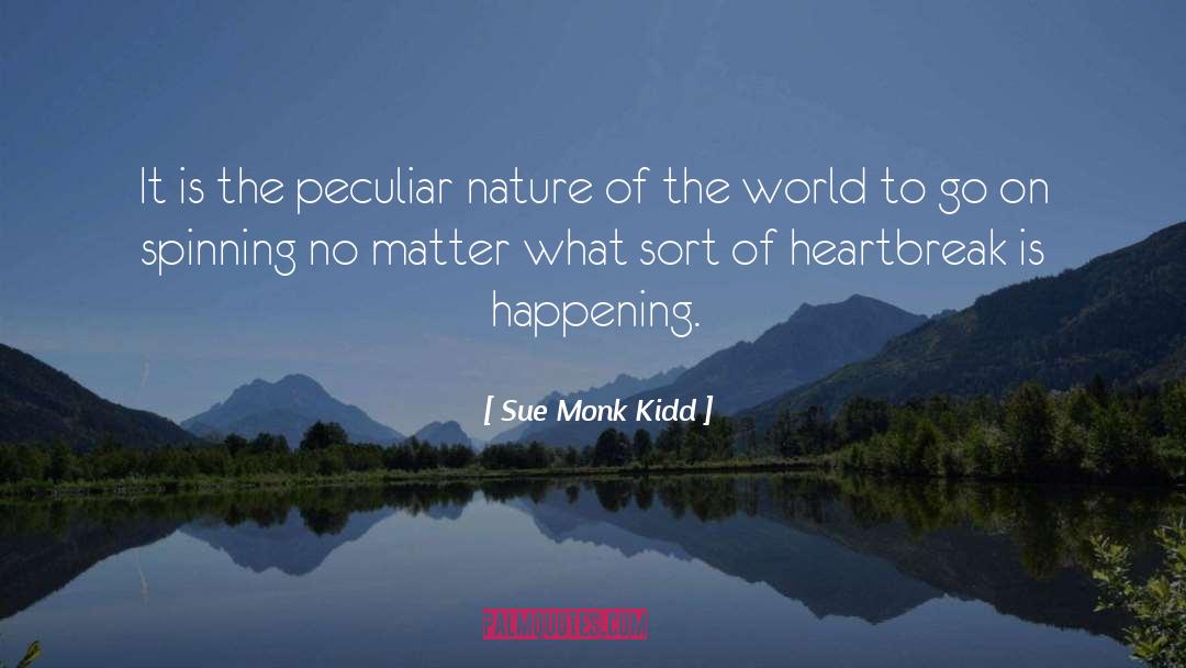 Angelic Nature quotes by Sue Monk Kidd