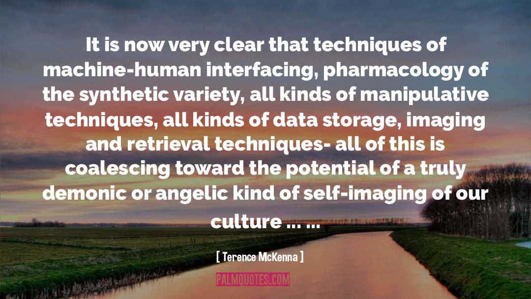 Angelic quotes by Terence McKenna