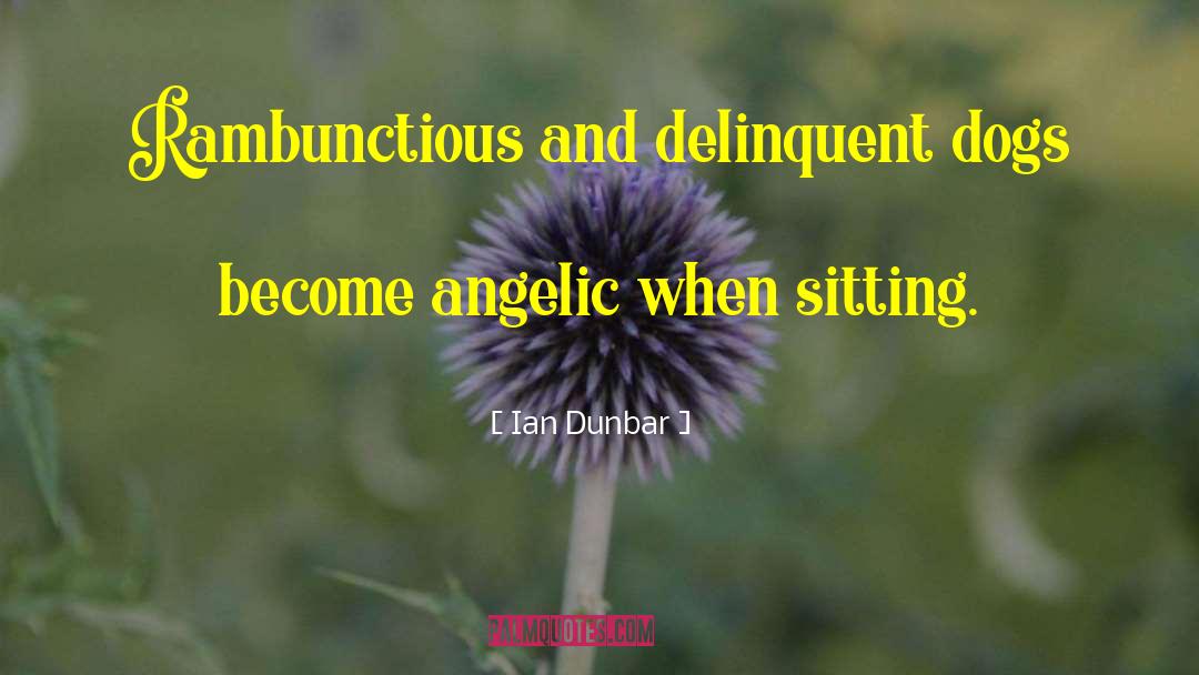 Angelic quotes by Ian Dunbar