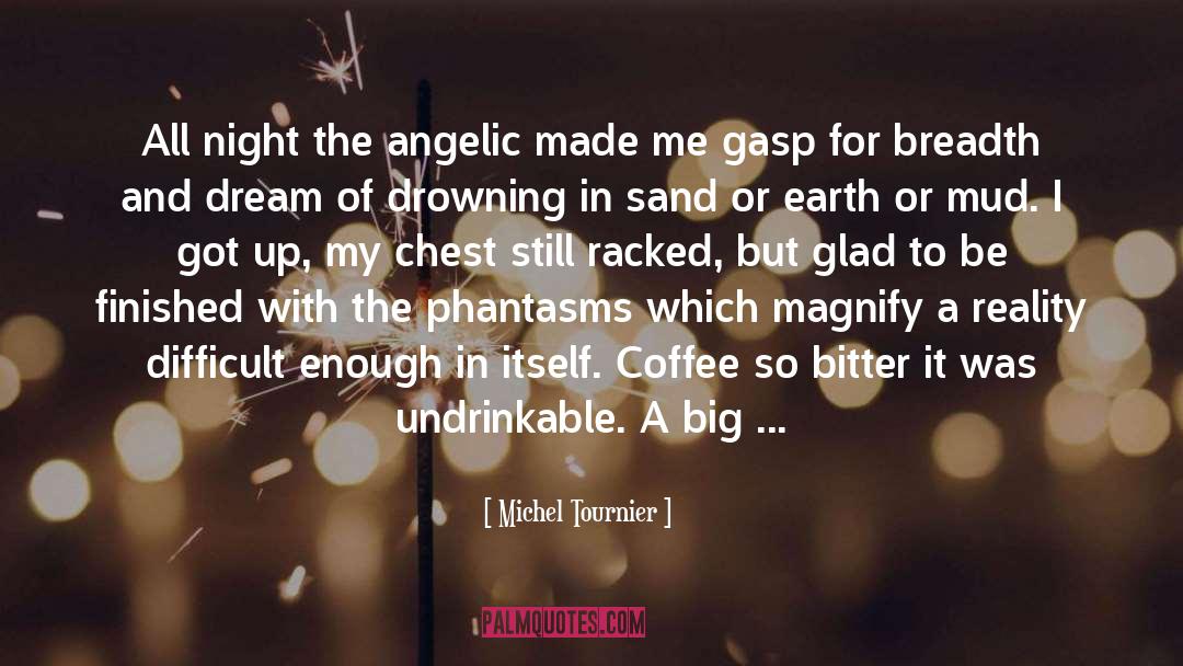 Angelic quotes by Michel Tournier