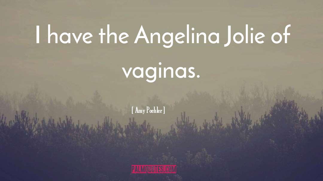Angelina quotes by Amy Poehler