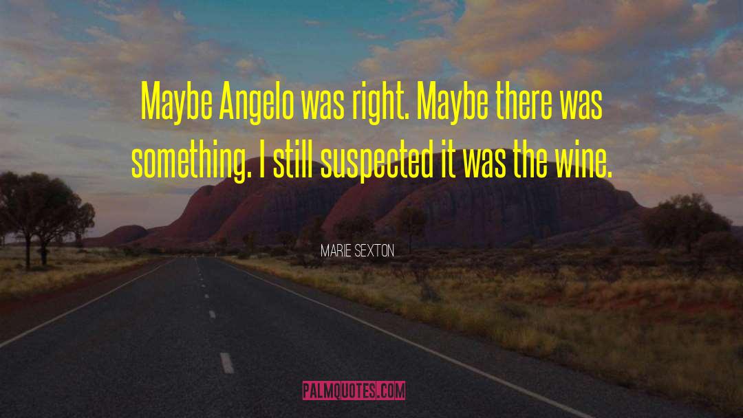 Angelo Surmelis quotes by Marie Sexton