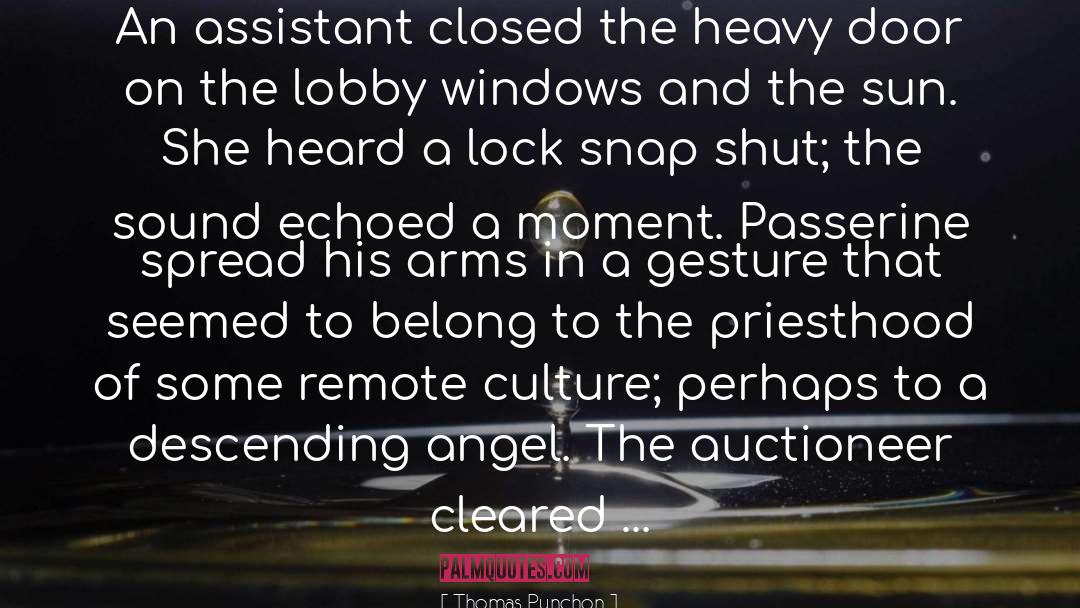 Angeloff Auctioneer quotes by Thomas Pynchon