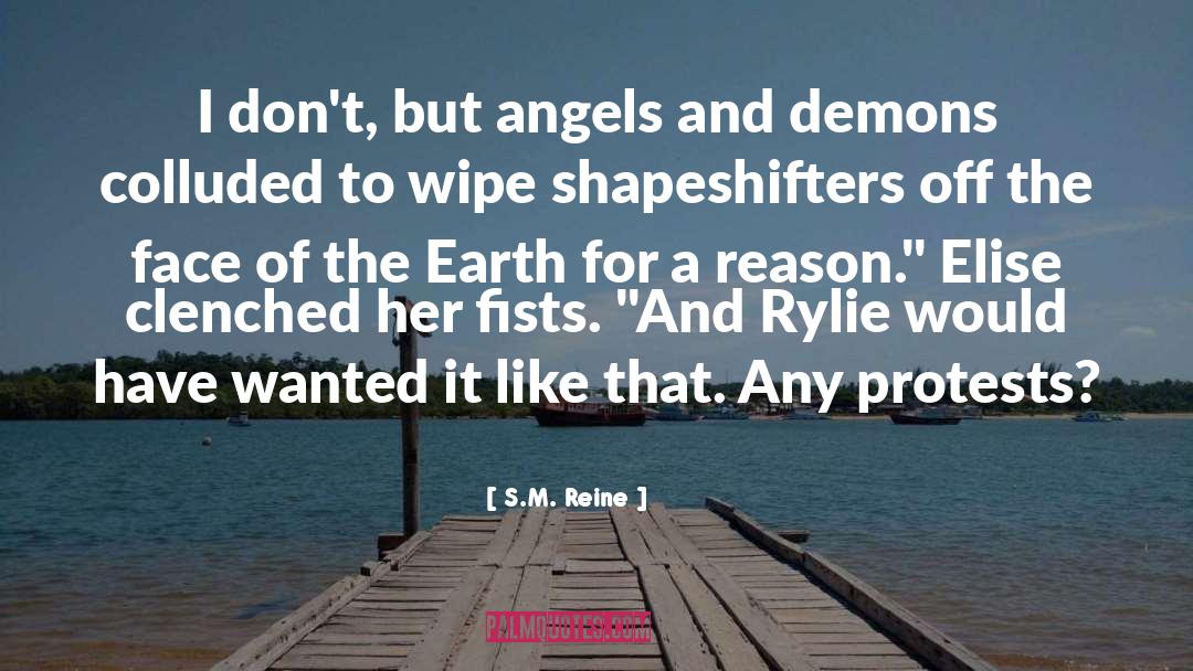 Angels And Demons quotes by S.M. Reine