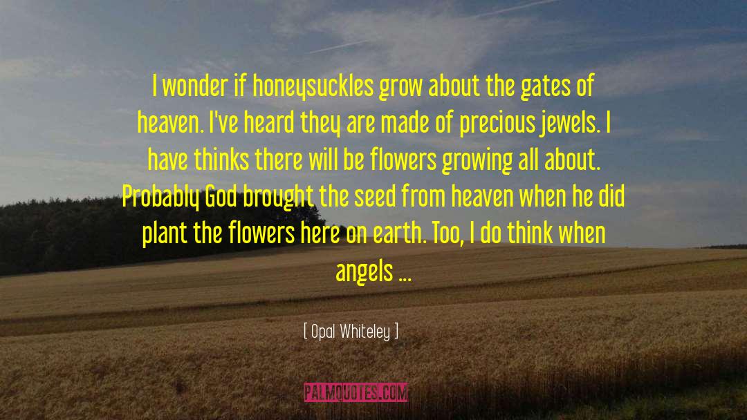 Angels And Prosperity quotes by Opal Whiteley