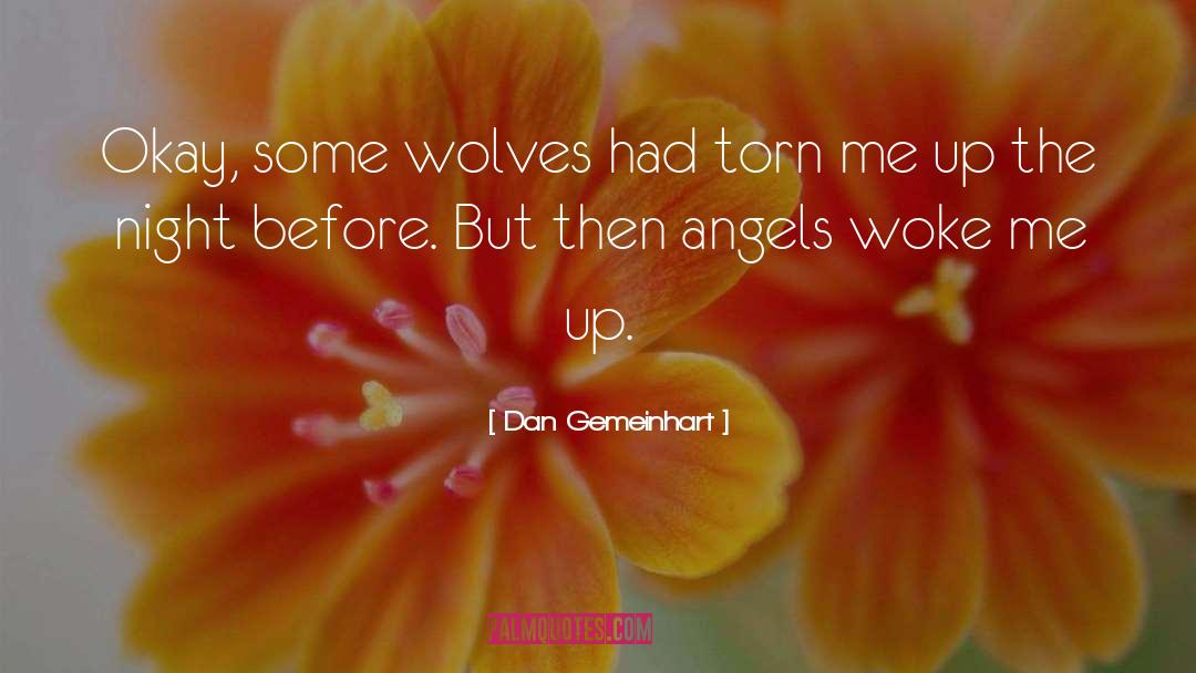 Angels Everywhere quotes by Dan Gemeinhart
