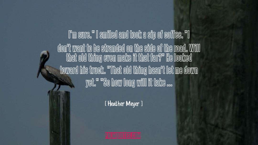 Angels Looking Down On Us quotes by Heather Meyer