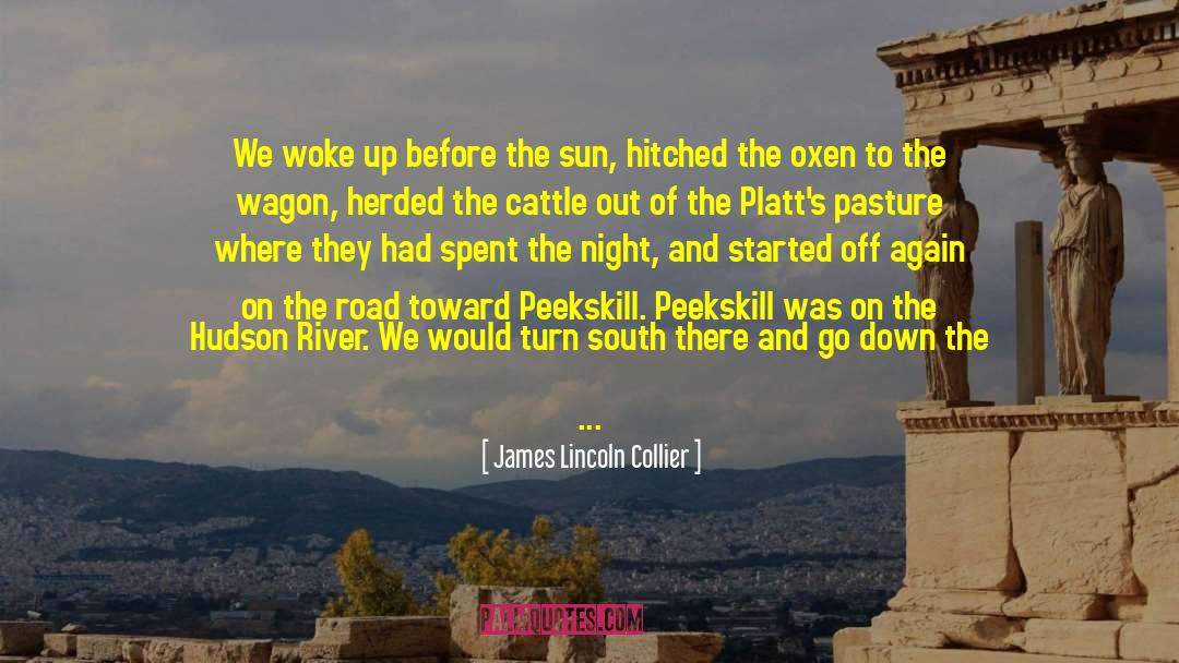 Angels Looking Down On Us quotes by James Lincoln Collier