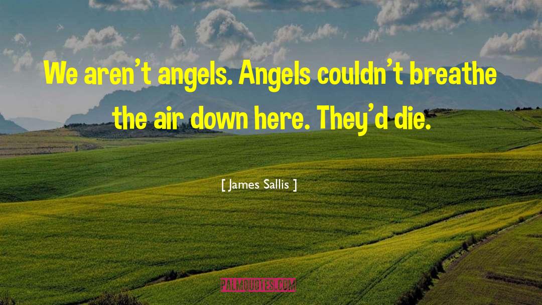 Angels Thesaurus quotes by James Sallis