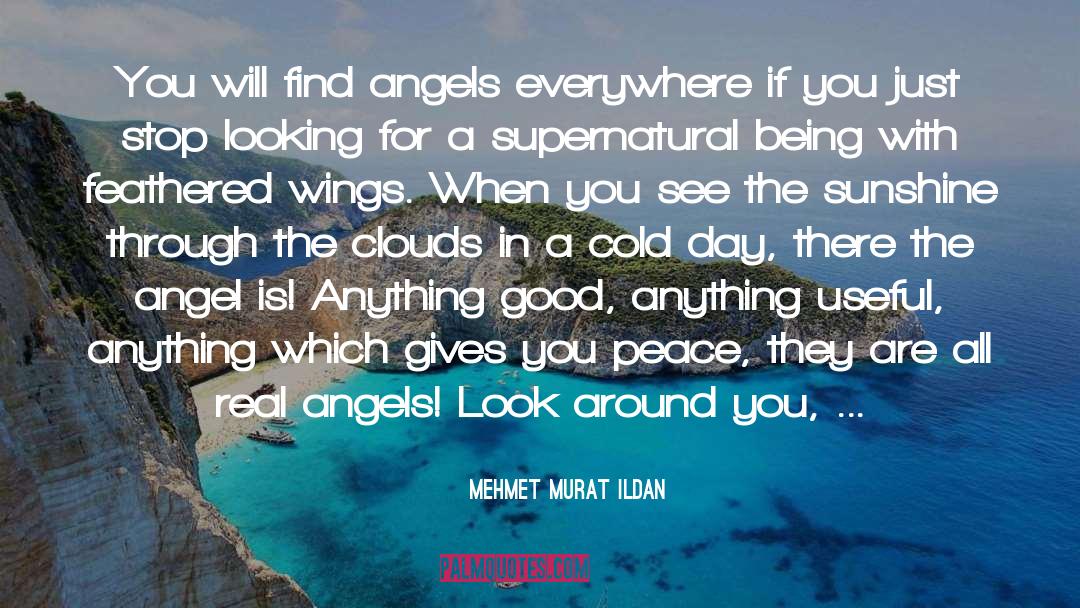 Angels Thesaurus quotes by Mehmet Murat Ildan