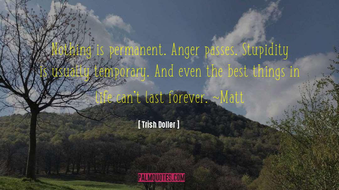 Anger And Alcohol quotes by Trish Doller