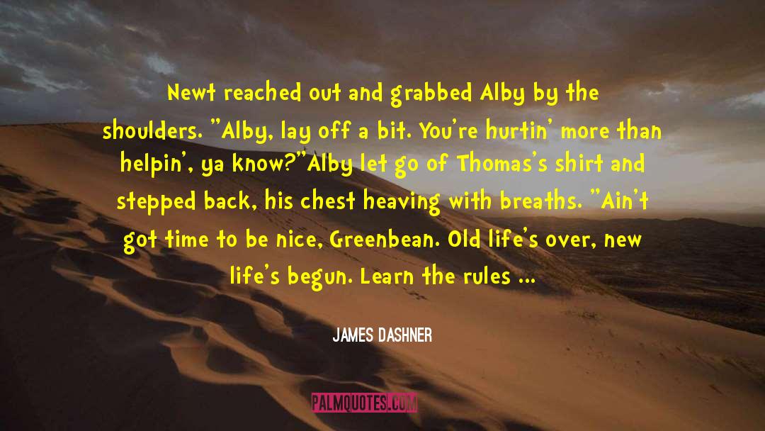 Anger And Hurt quotes by James Dashner