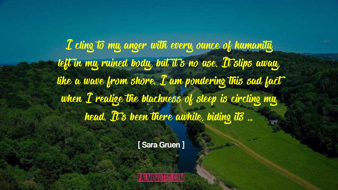 Anger And Hurt quotes by Sara Gruen