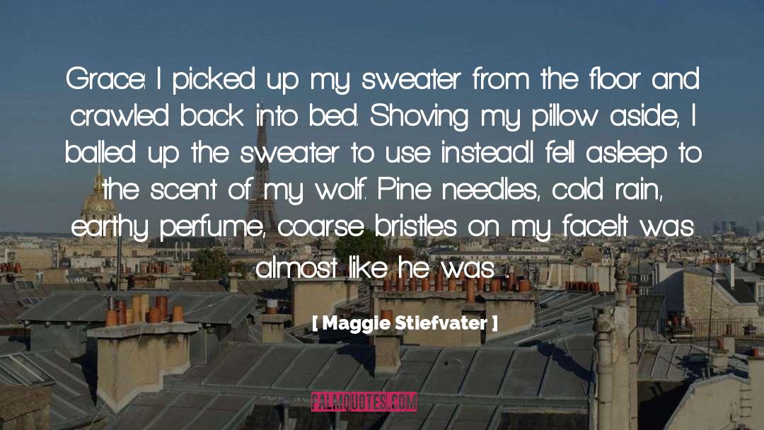 Anger And Love quotes by Maggie Stiefvater