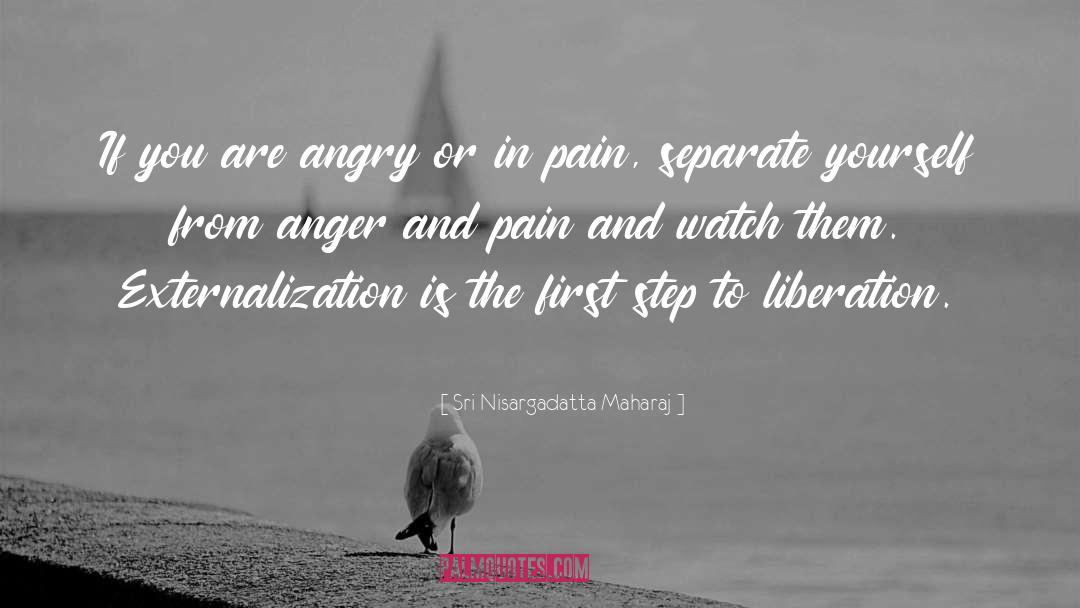 Anger And Pain quotes by Sri Nisargadatta Maharaj