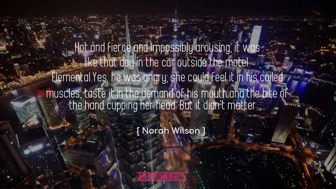 Anger And Pain quotes by Norah Wilson