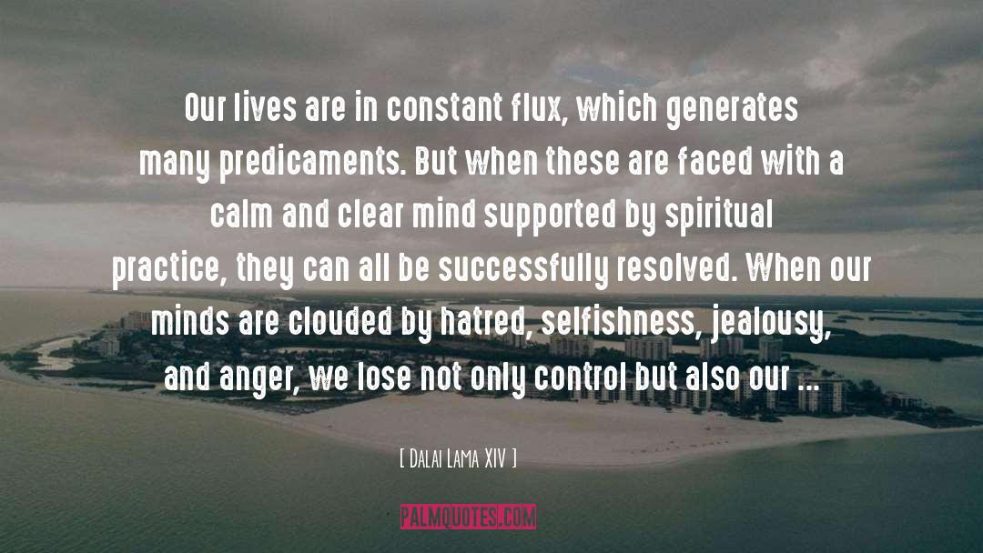 Anger Inside quotes by Dalai Lama XIV