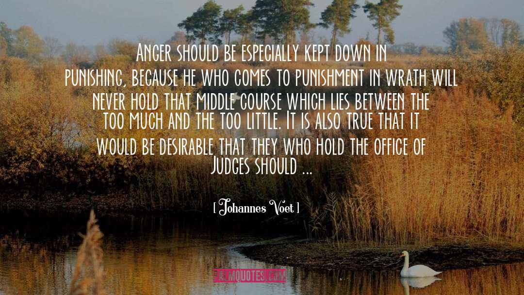 Anger quotes by Johannes Voet