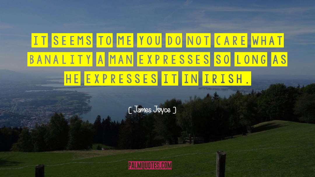 Anglo Irish quotes by James Joyce