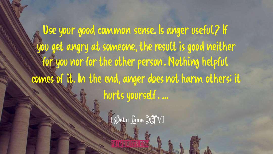 Angry At Someone quotes by Dalai Lama XIV