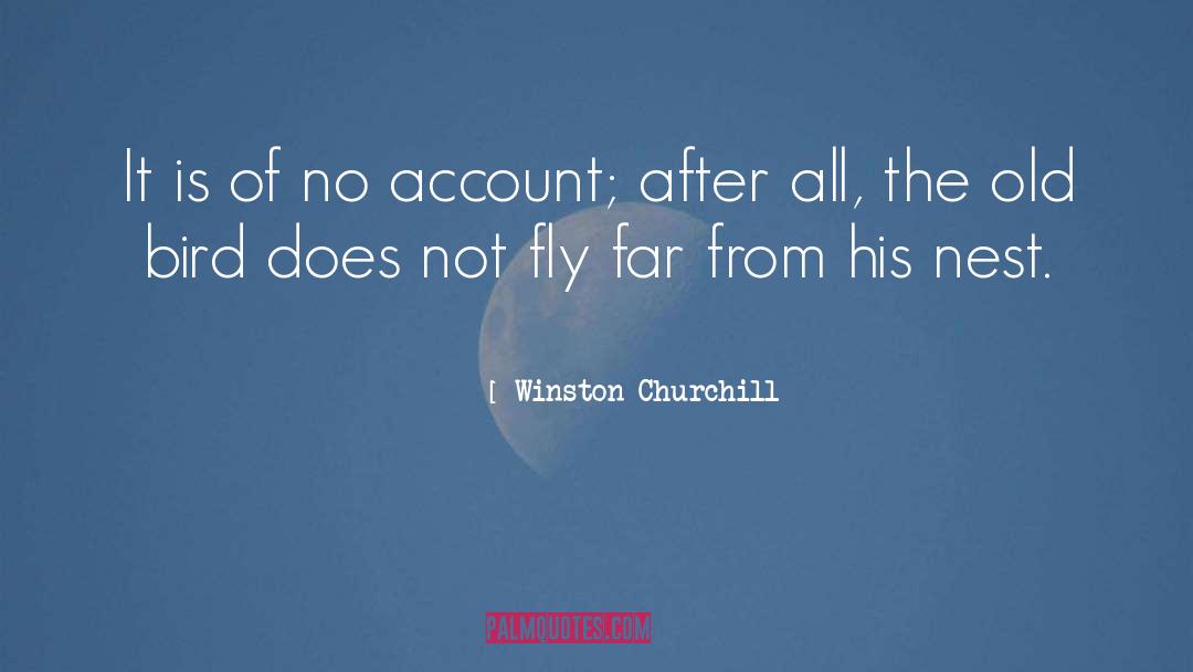Angry Bird quotes by Winston Churchill