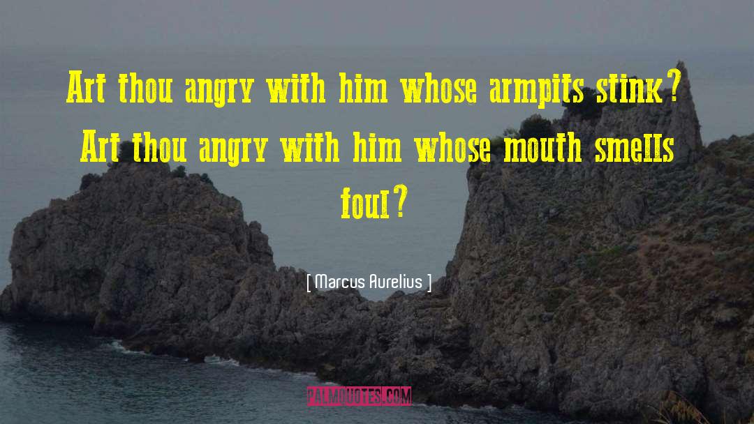 Angry Chef quotes by Marcus Aurelius