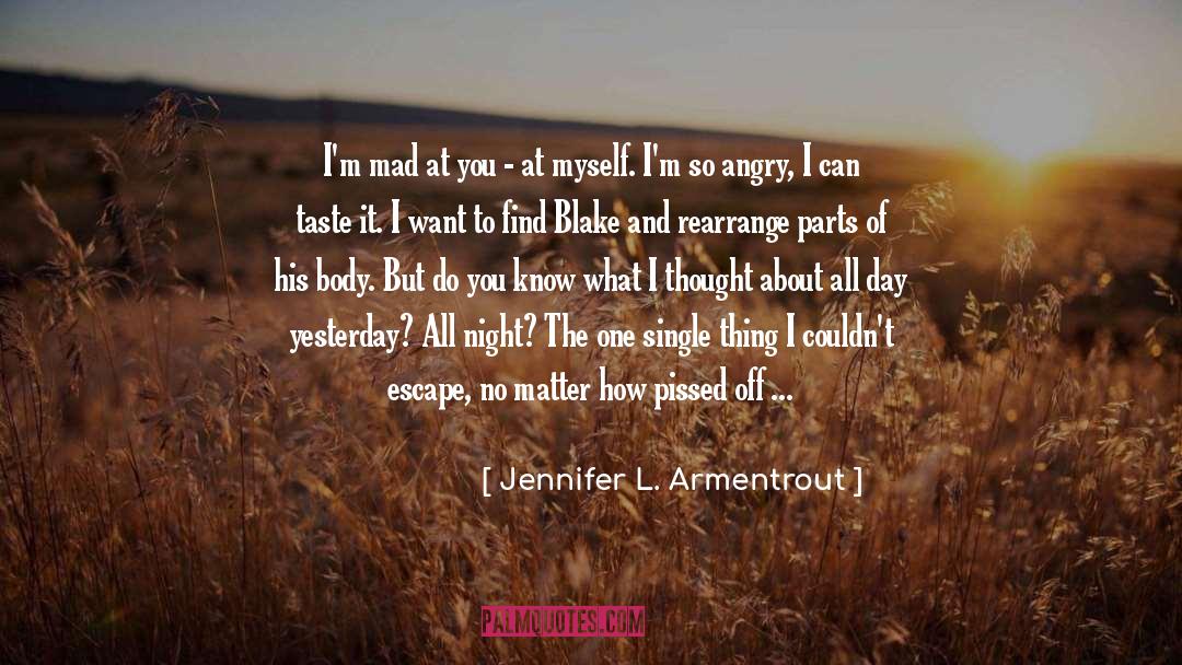 Angry Chef quotes by Jennifer L. Armentrout