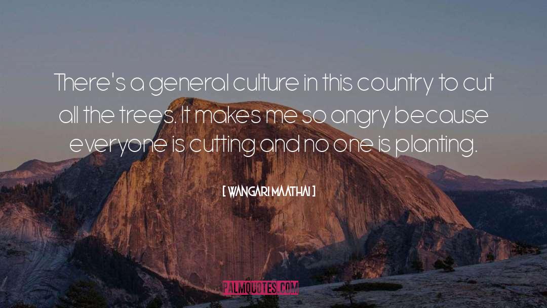 Angry Feelings quotes by Wangari Maathai