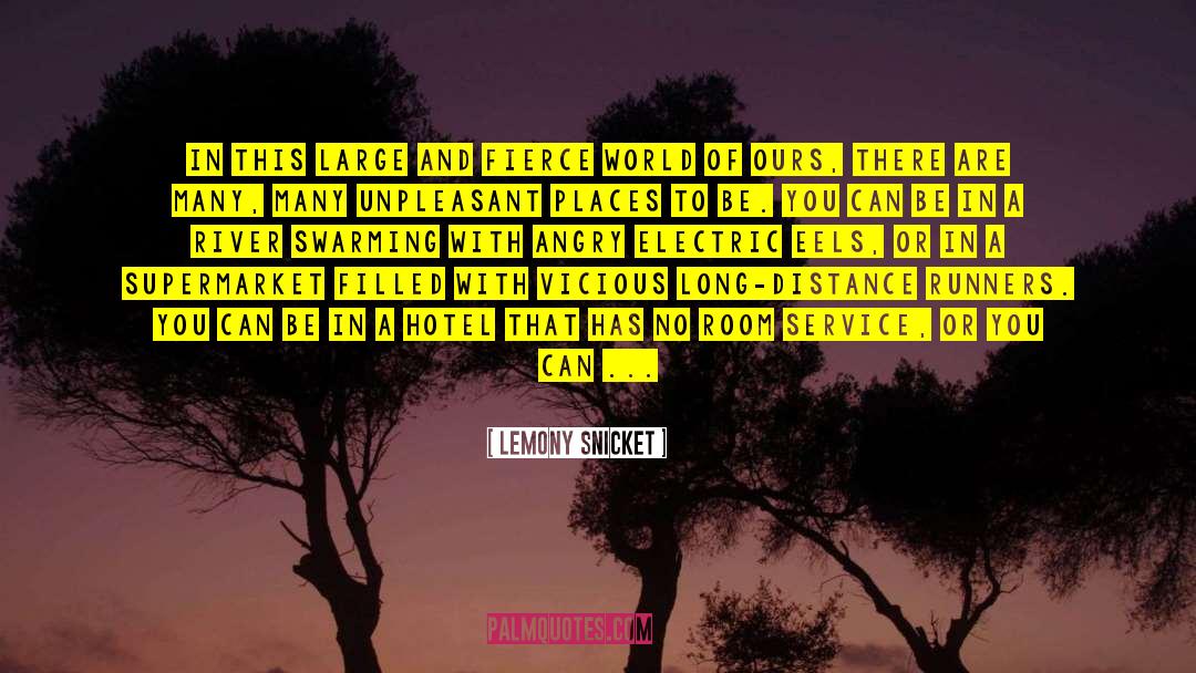 Angry Person quotes by Lemony Snicket