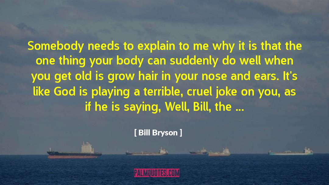 Angry Sex quotes by Bill Bryson